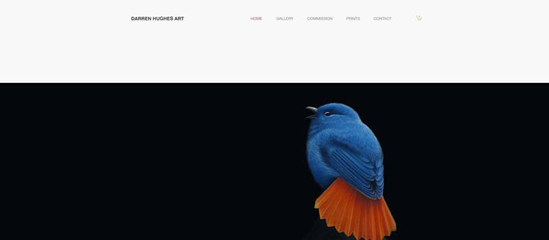 Darren Hughes Art Website Homepage
