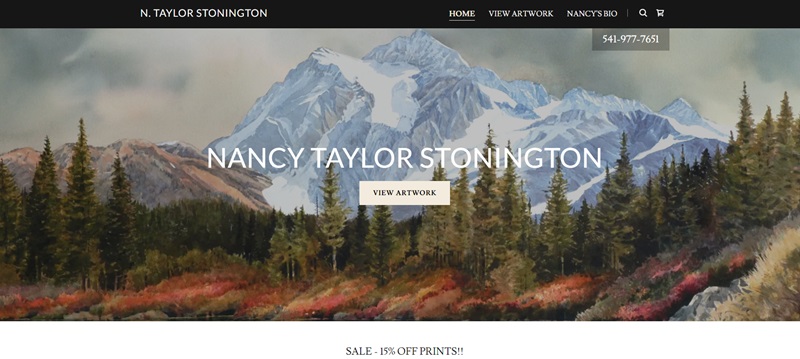 N. Taylor Stronington Artist Website