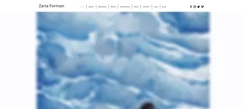 Zaria Forman Artist Website