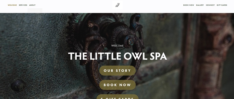 spa website homepage example for inspiration