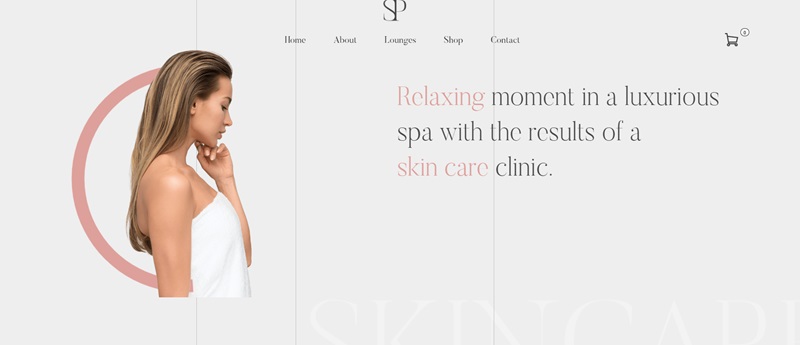 website example of a spa website