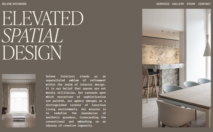 Selene Squarespace Template for an Architect to use