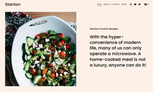 Stanton Squarespace Template