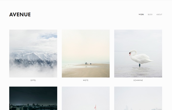 Avenue Squarespace Template