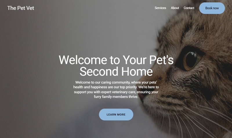 Making a vet website with Squarespace