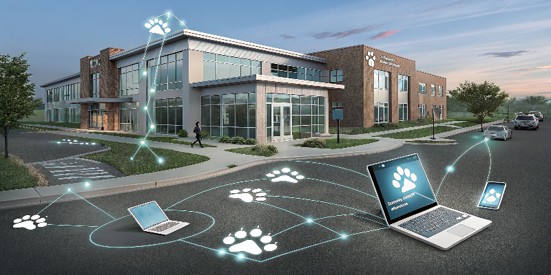 A modern veterinary building sits surrounded by glowing paw-print digital footprints leading from smartphones, tablets, and laptops into the clinic. These glowing trails represent web traffic, SEO, and online discovery, making it instantly clear how websites drive real-world visits. How to Make a Veterinary Website